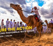 Capture the Action : Camel Races