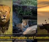 Wildlife Photography and Conservation