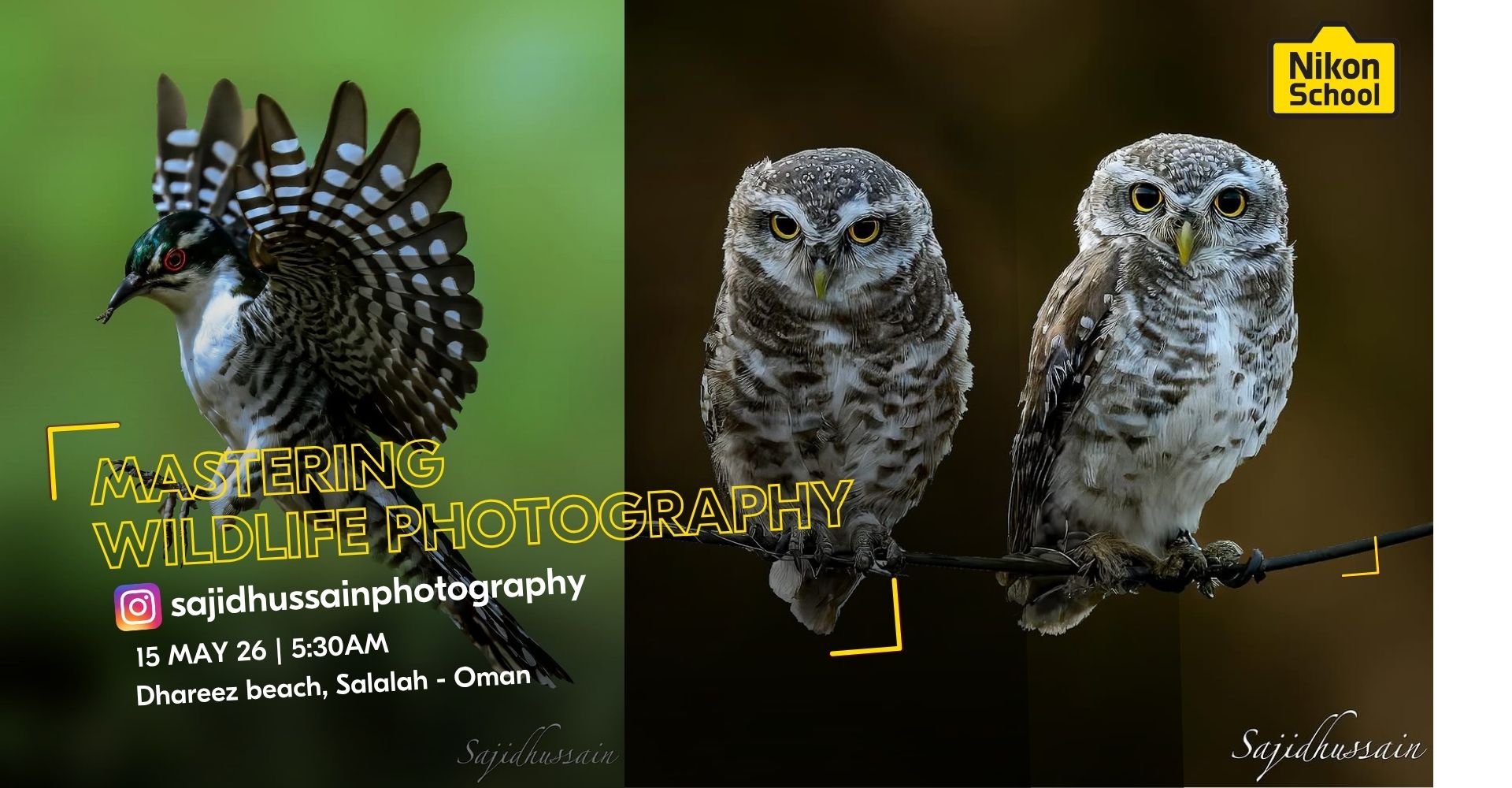 Mastering Wildlife Photography